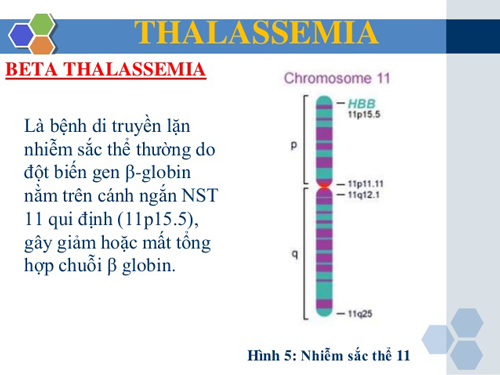 Bệnh beta thalassemia là gì?