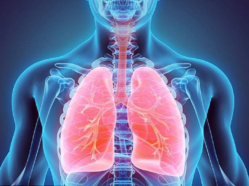 Phân loại viêm phổi
